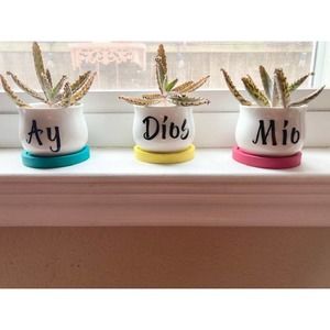 AY DIOS MIO - Mini Planters, 3 Piece Set, Small Succulent Plant Holders